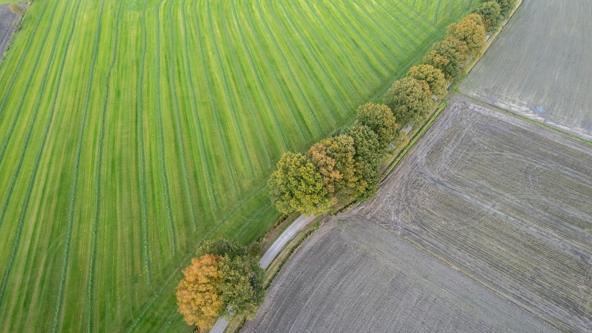 Selling Your Plot Of Land McEwan Fraser Legal