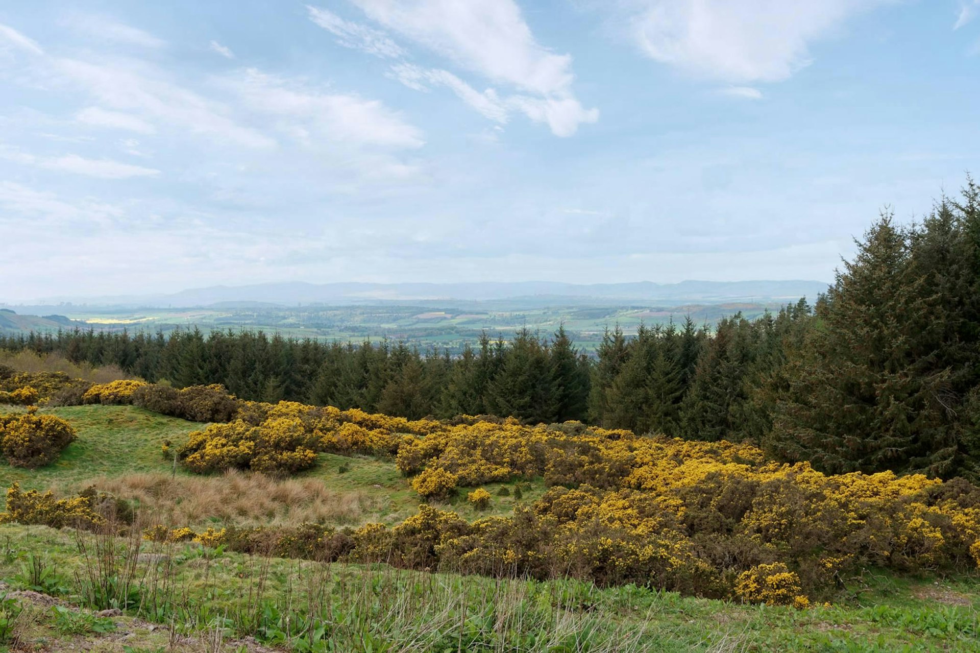 Plot 2 North of Drumcairn Farm, Abernethy, PH2 9LT