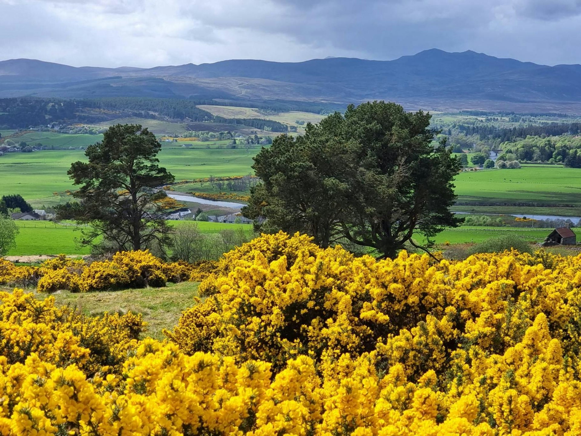 Land at  Tulloch Hill, Bonar Bridge, Ardgay, IV24 3AS