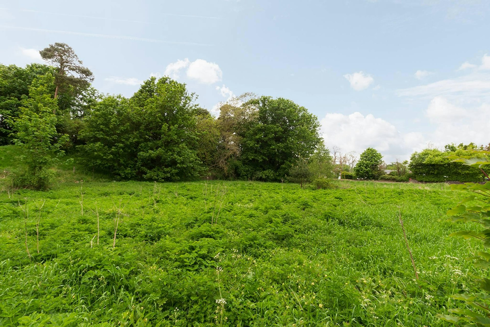 Estate Agents Fife McEwan Fraser Legal