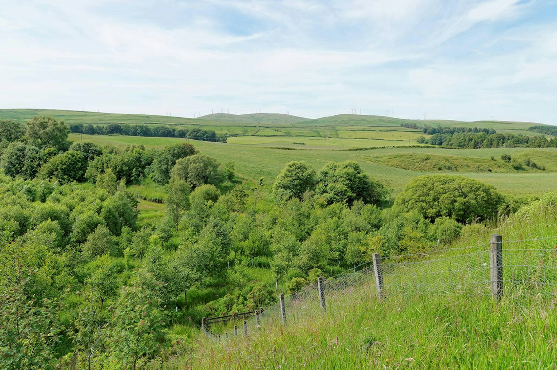 Plots of Land, Ayr Road, Glespin, Lanark, ML11… McEwan Fraser Legal