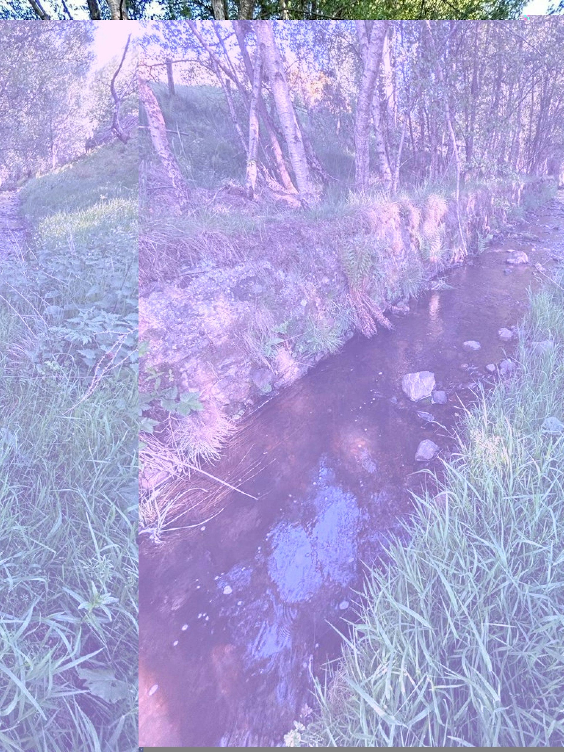 The Cotts Glen Of Rothes nr Rothes, Rothes,… McEwan Fraser Legal