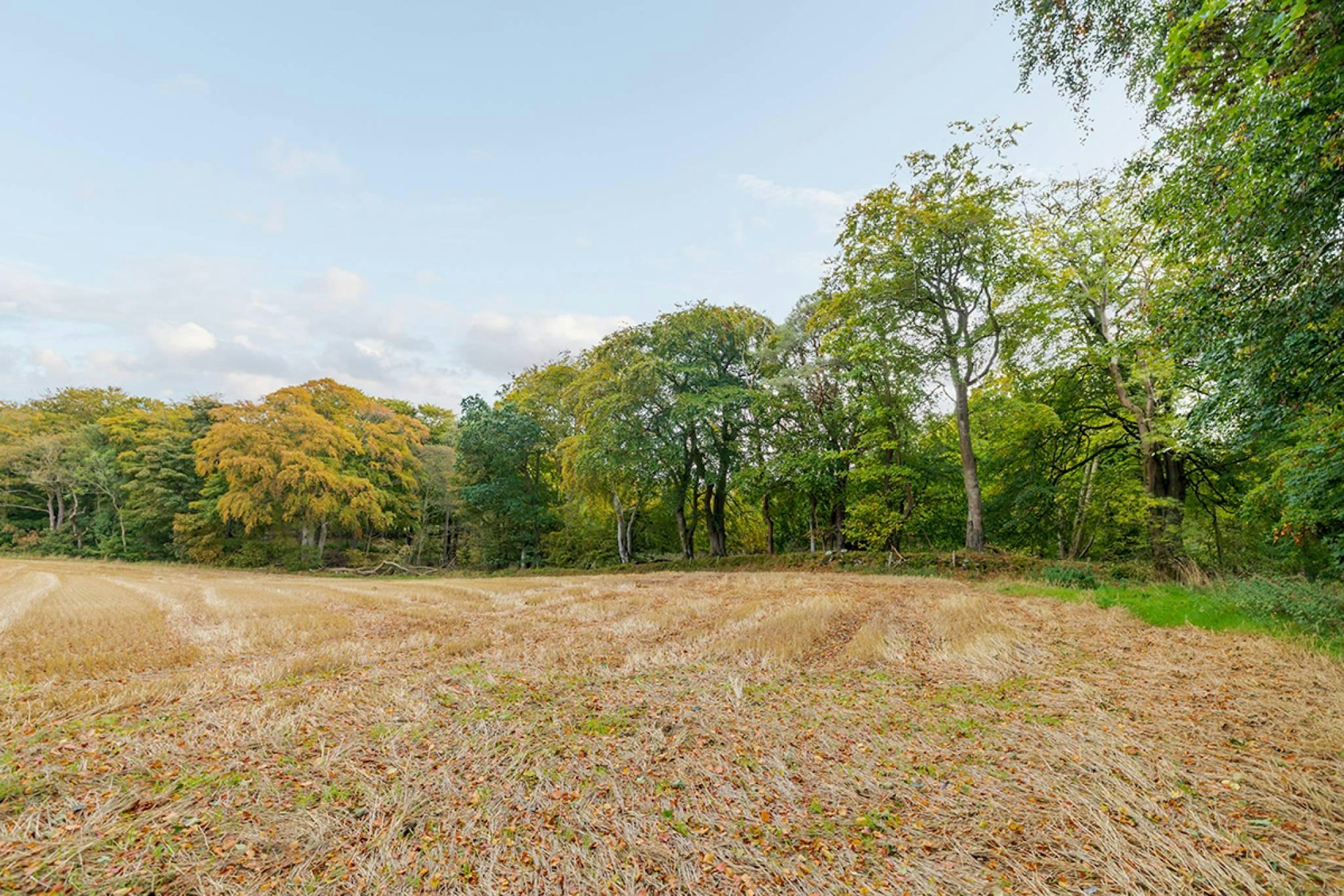 East Lodge Belhelvie Belhelvie Village,… McEwan Fraser Legal