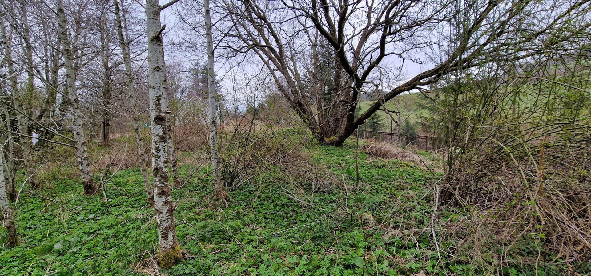 Plot of Land Gartly Station, Old Military Road, Gartly, Huntly, AB54 4QA