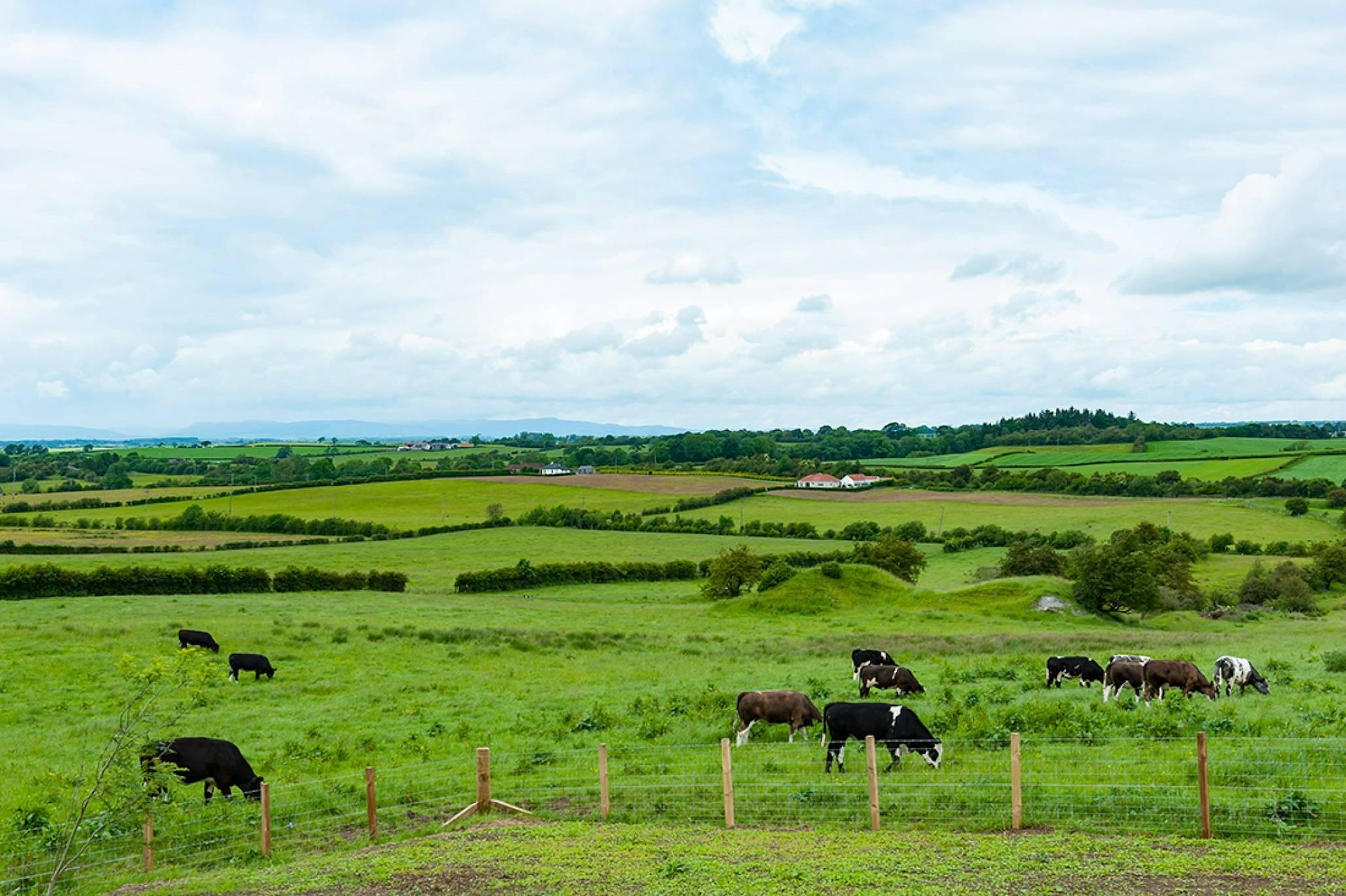 Fardalehill Farm House, , Kilmarnock, KA2 0DX McEwan Fraser Legal