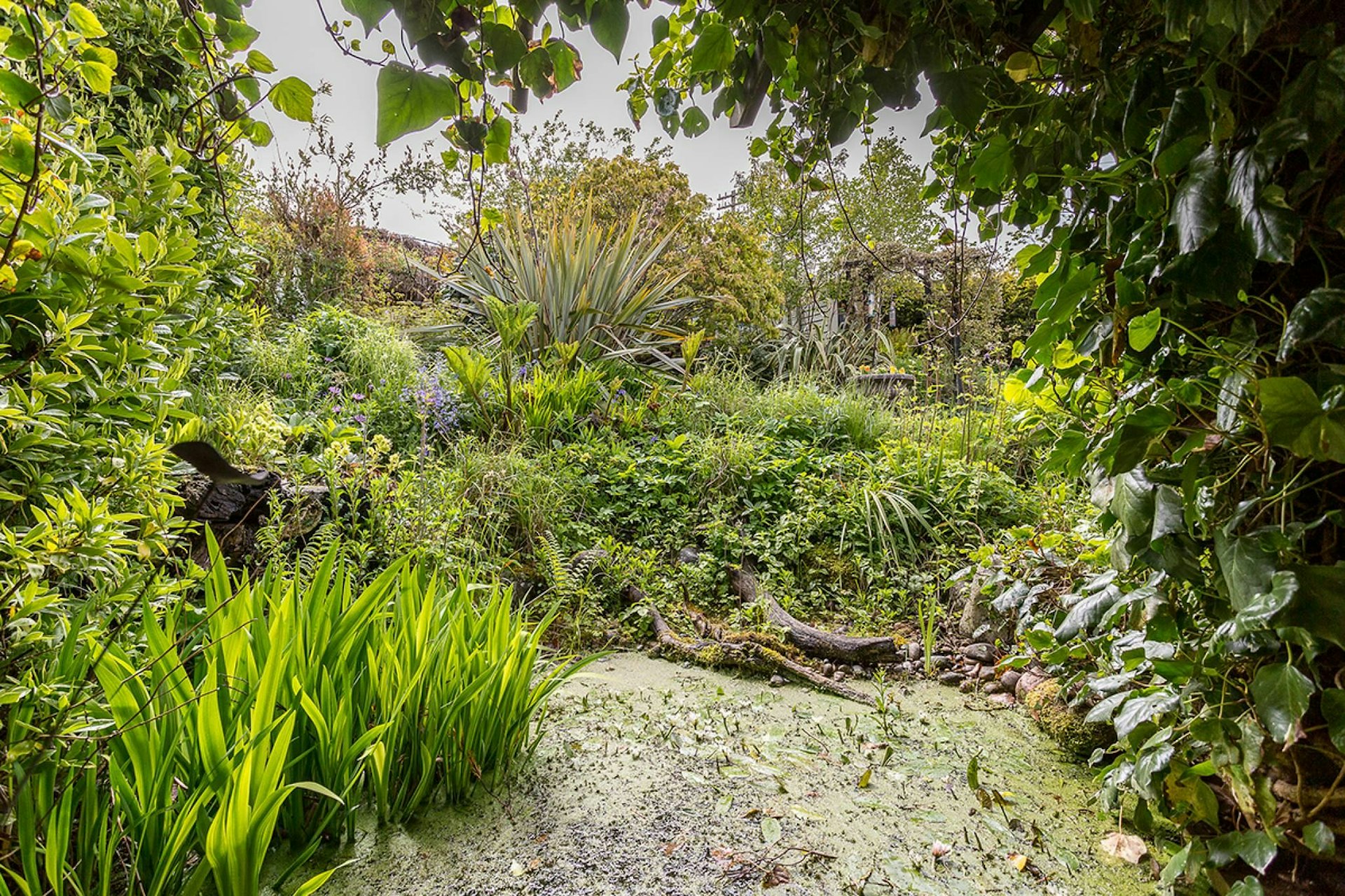 82 Riverside Road, , Wormit, DD6 8LJ McEwan Fraser Legal