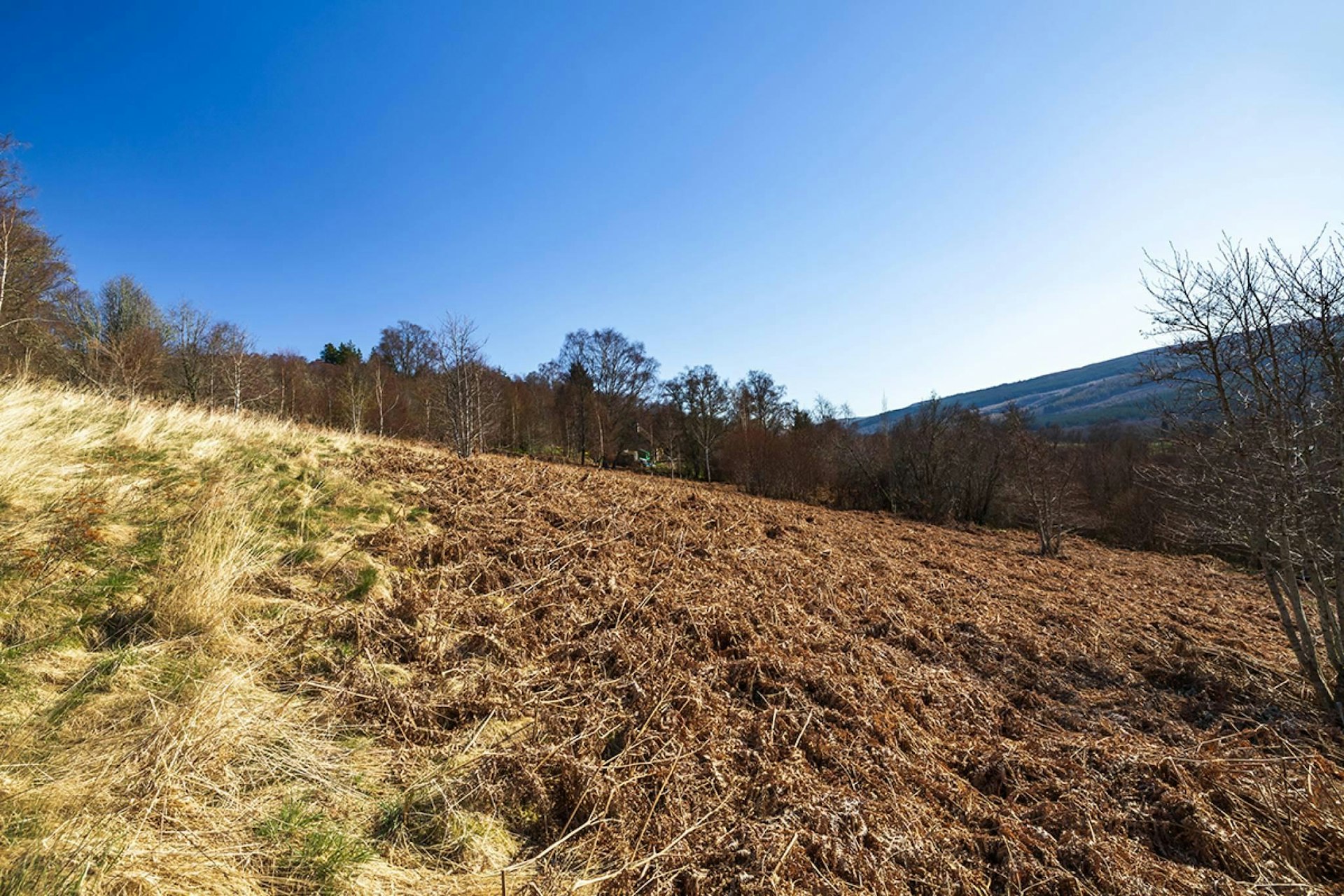 Building Plot 95M West of Eastwood, Balnain, Drumnadrochit, IV63 6TN